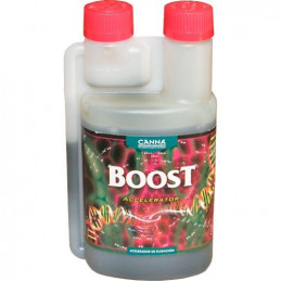 Boost 1 l Canna