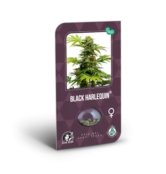 Black Harlequin 3 semillas