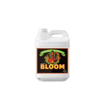 Bloom 1l