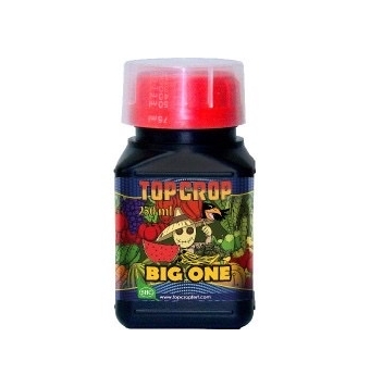 Big One 250 ml