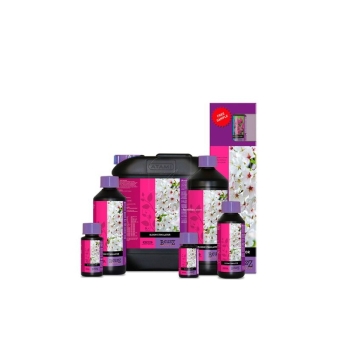 Bcuzz Bloom Stimulator 500 ml