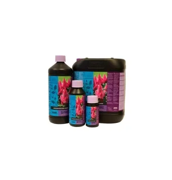 Bcuzz Blossom Builder 100 ml
