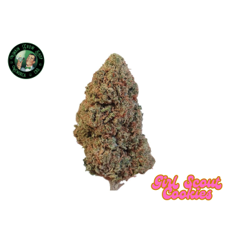 Flores de CBD Girl Scout...