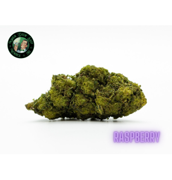 Flores de HHC Raspberry 10g