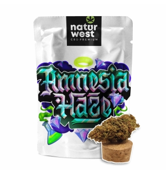 Flores de CBD Amnesia Haze...