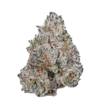 White Truffle 3+1