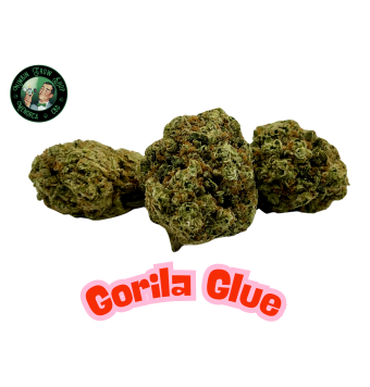 Flores de CBD Gorila Glue...