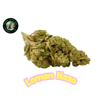 Flores de CBD Lemon Haze 2g