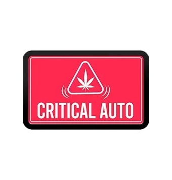 Critical Auto 3 semillas