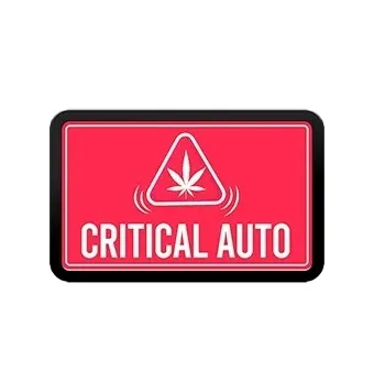 Critical Auto 3 semillas