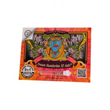 Cream Mandarine XL Auto 3+1