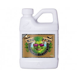 Big Bud Coco 500 ml