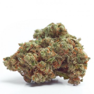 Gorilla Cookies 5+2