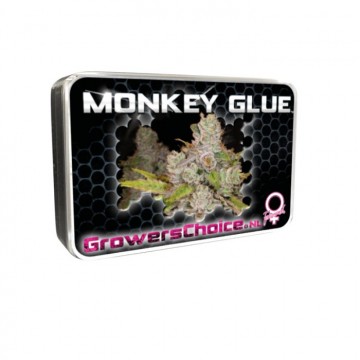 Monkey Glue 5+2